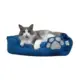 Cat and Small Breed Dog Bed