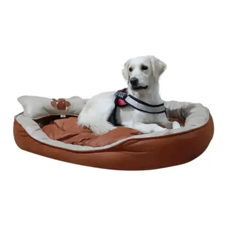 Large Breed Brown Dog Bed