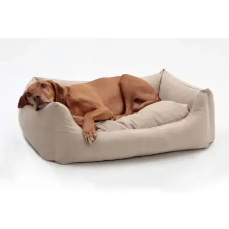 Large Breed Dog Beige Bed