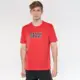 Mavi Logo Printed Men's Red T-Shirt QNGL-F200251000000 Qatar