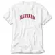 Harvard University White T-Shirt